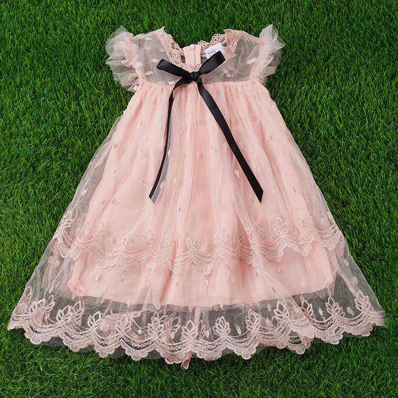 Lace Embroidered Dress with Front Bow