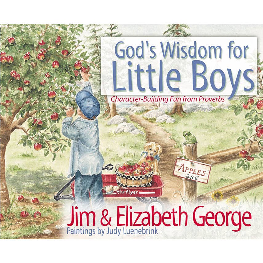 Book: God's Wisdom For Little Boys