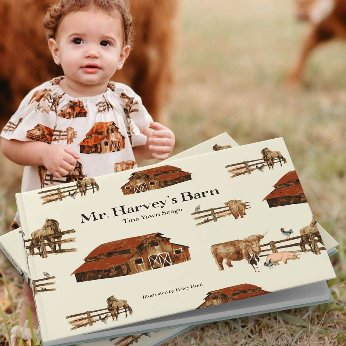Book: Mr. Harvey’s Barn Book